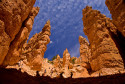 Tapeta Bryce Canyon