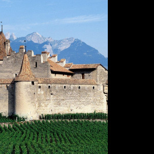 Tapeta hrad_aigle__svycarsko