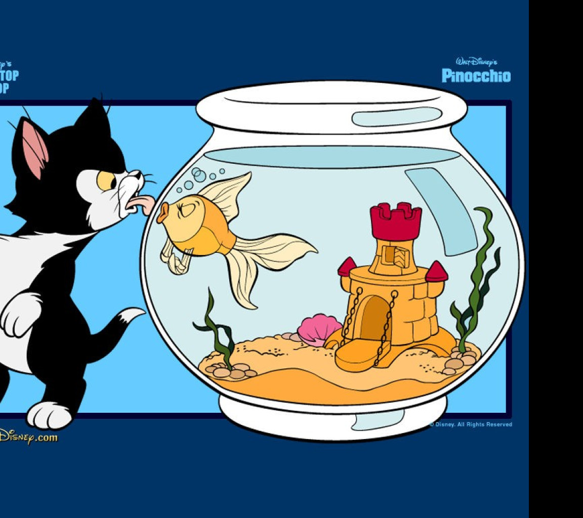 Мультсериал про кота и рыбку