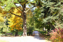 Tapeta Podzim v parku8