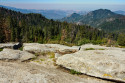 Tapeta Sequoia, Beetle Rock
