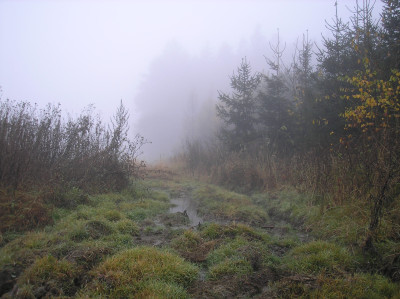 Tapeta: Svitavsk podzimn mlha