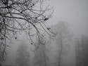 Tapeta Svitavsk podzimn mlha 04