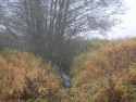 Tapeta Svitavsk podzimn mlha 09