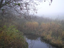 Tapeta Svitavsk podzimn mlha 11