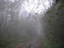Tapeta Svitavsk podzimn mlha 12