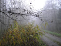 Tapeta Svitavsk podzimn mlha 28