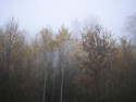 Tapeta Svitavsk podzimn mlha 43