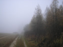 Tapeta Svitavsk podzimn mlha 49