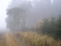 Tapeta Svitavsk podzimn mlha 56