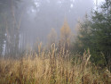 Tapeta Svitavsk podzimn mlha 57