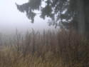 Tapeta Svitavsk podzimn mlha 65
