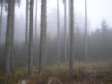 Tapeta Svitavsk podzimn mlha 67