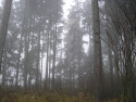 Tapeta Svitavsk podzimn mlha 68