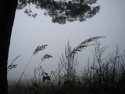 Tapeta Svitavsk podzimn mlha 70
