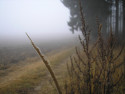 Tapeta Svitavsk podzimn mlha 74