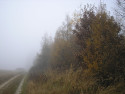 Tapeta Svitavsk podzimn mlha 75