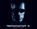 Tapeta Terminator III 13