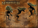 Tapeta TES III: Morrowind