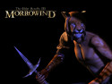 Tapeta TES III: Morrowind 2