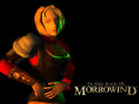 Tapeta TES III: Morrowind 4