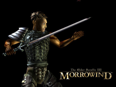 Tapeta: TES III: Morrowind 5