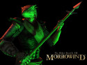 Tapeta TES III: Morrowind 7
