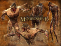 Tapeta TES III: Morrowind 8
