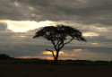 Tapeta Zpad slunce v africe
